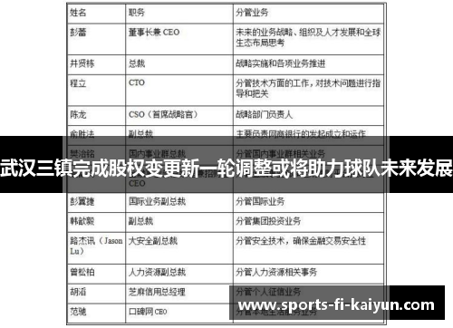 武汉三镇完成股权变更新一轮调整或将助力球队未来发展